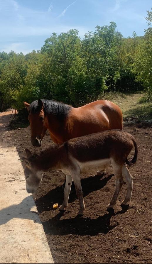 Hotel Etno Selo Montegoat Nikšić Exteriér fotografie